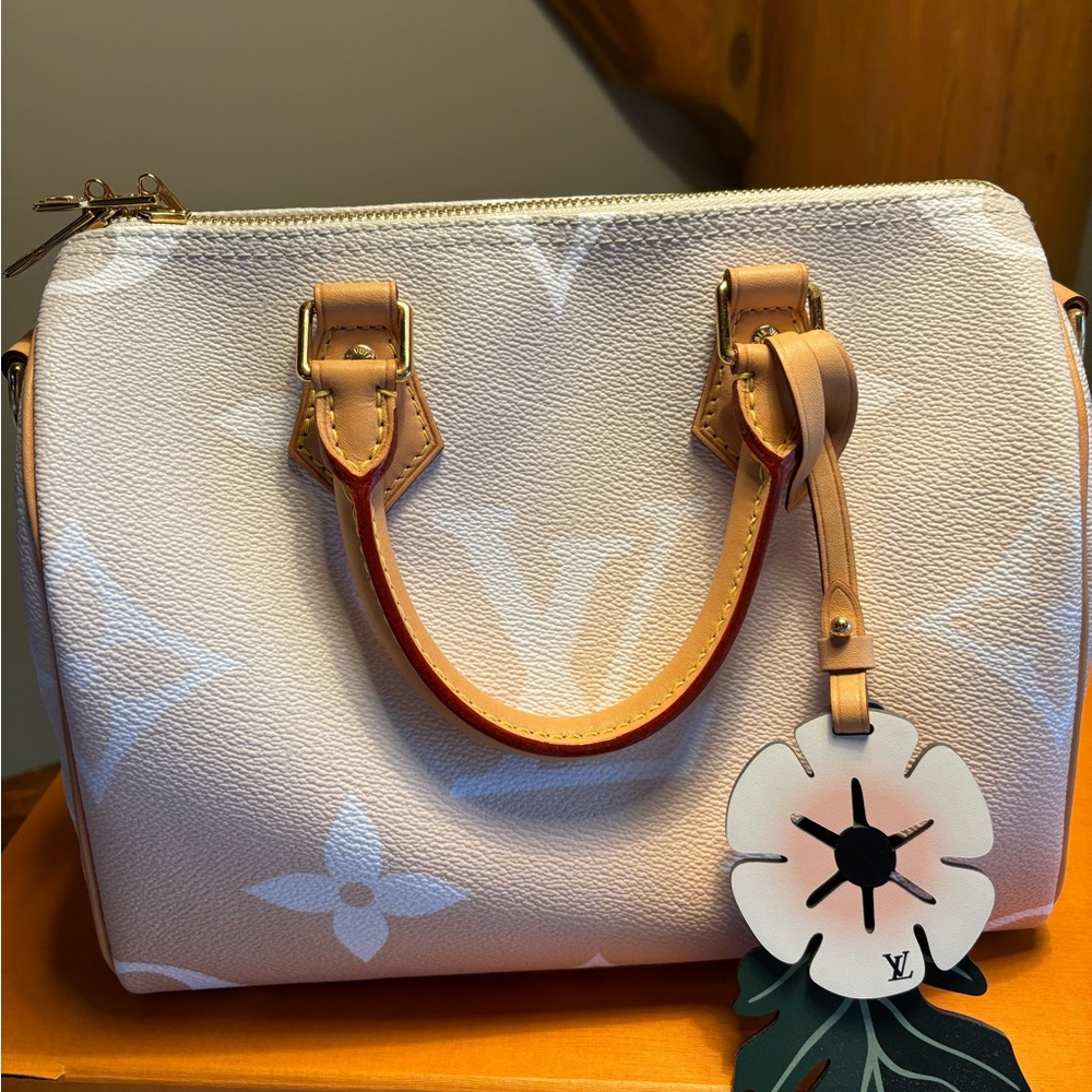 Louis Vuitton by the pool speedy 25